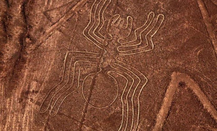 Linee di Nazca: l'intelligenza artificiale decifra il significato millenario