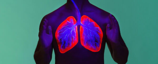 Cancro ai polmoni: causato dal glicogeno oltre al fumo e all'inquinamento 1 Cancro ai polmoni: causato dal glicogeno oltre al fumo e all'inquinamento