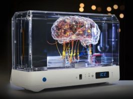 CL1: Il primo computer vivente che unisce cervello umano e silicio