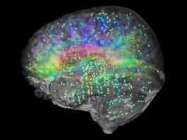 Coscienza umana: verso la comprensione dei meccanismi neurali della consapevolezza