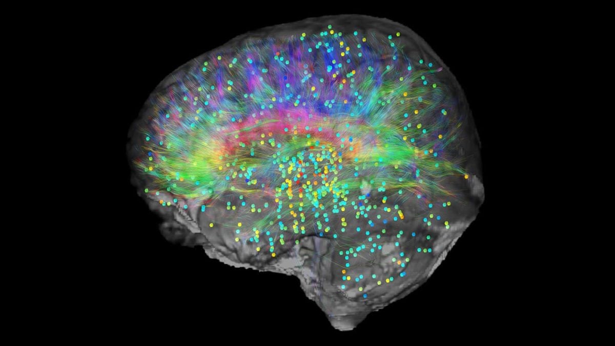 Coscienza umana: verso la comprensione dei meccanismi neurali della consapevolezza