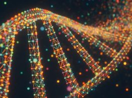 Terapia CRISPR personalizzata: curato il 1°neonato con grave carenza di CPS1