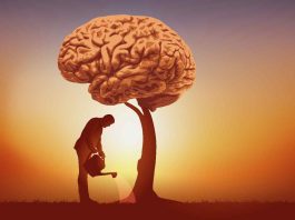 Salute del cervello: 5 minuti di attività intensa ne migliora le prestazioni