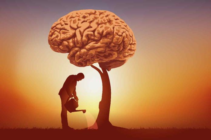 Salute del cervello: 5 minuti di attività intensa ne migliora le prestazioni