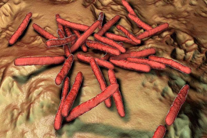Lebbra: La malattia millenaria che precedeva l'Europa nelle Americhe