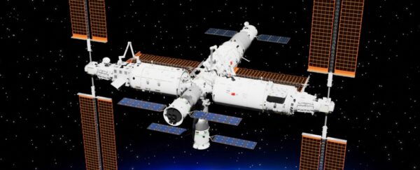 Niallia tiangongensis: il batterio misterioso trovato sulla stazione spaziale cinese Tiangong 1 Niallia tiangongensis: il batterio misterioso trovato sulla stazione spaziale cinese Tiangong