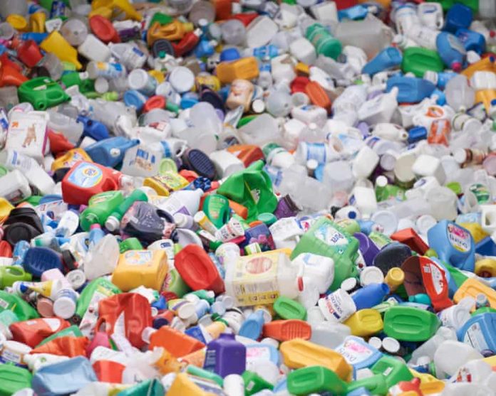 l'Escherichia coli trasforma la plastica in paracetamolo