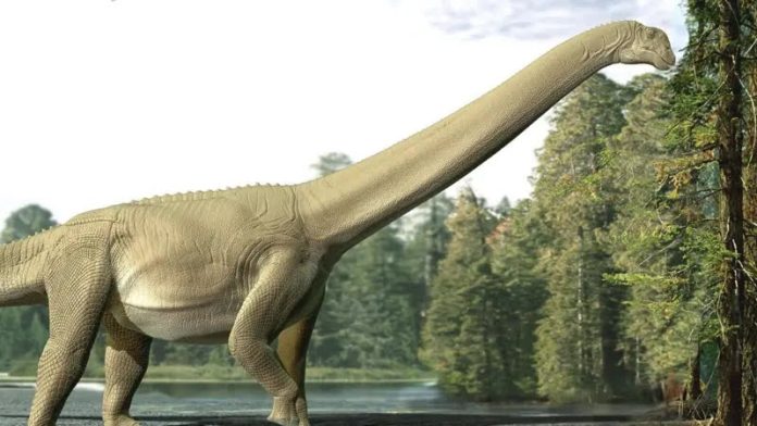 Sauropode di 95 milioni di anni fa: svelato il segreto alimentare di un colosso del mesozoico