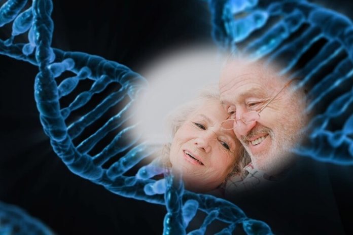 un nuovo farmaco potrebbe invertire l'invecchiamento umano