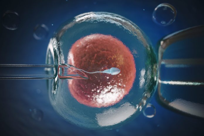Otto bambini sani sono nati con DNA di 3 persone