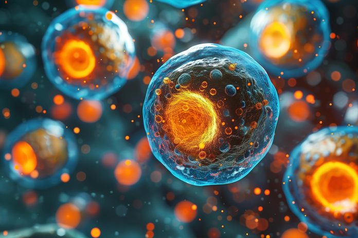 Emifusoma: una nuova scoperta nel riciclo cellulare