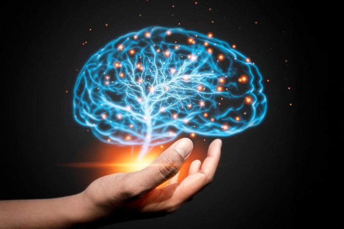 Come il nostro cervello decodifica il pensiero in frasi