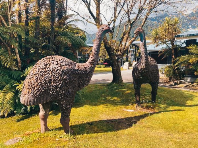 Moa gigante: Colossal Biosciences lo riporta in vita