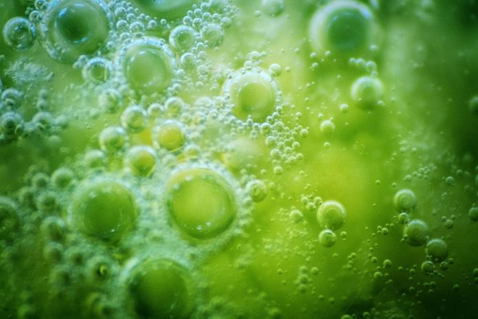 La Terra indica la via: vita marziana nel sottosuolo profondo