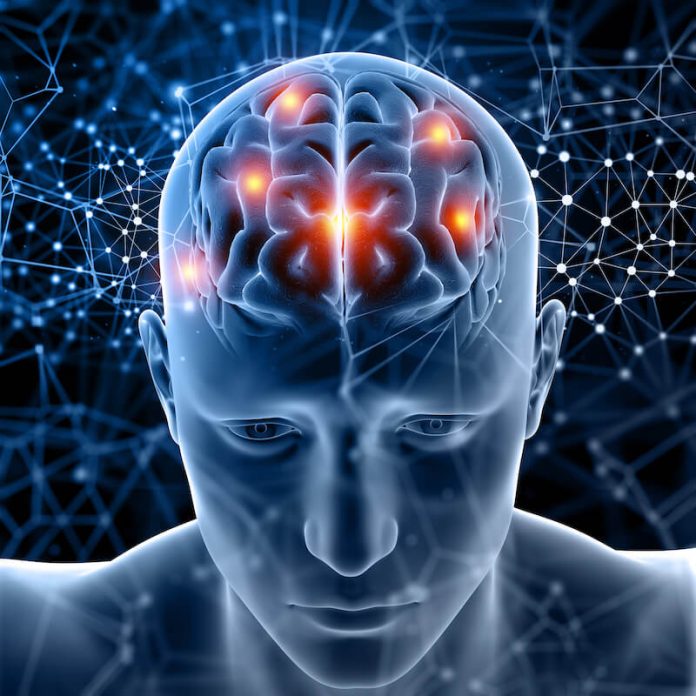 Il nostro cervello lavora costantemente, anche quando non siamo consapevoli