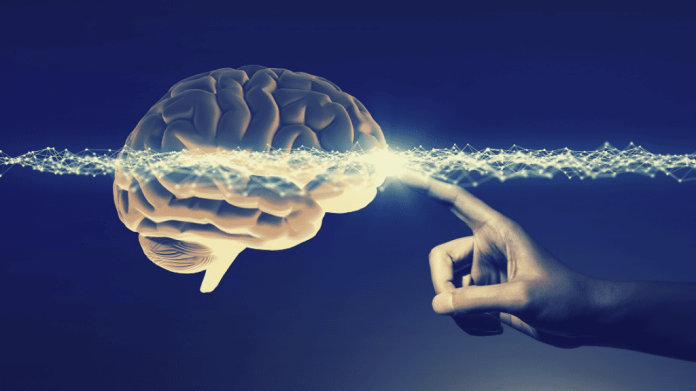 Cervello umano: ecco come passiamo dal sonno alla coscienza