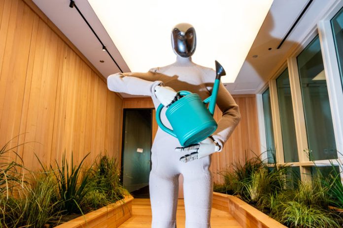 Robot umanoidi: il futuro del lavoro è arrivato
