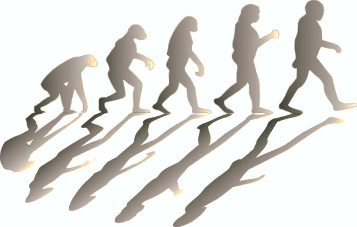 Evoluzione umana: quando la cultura supera la genetica