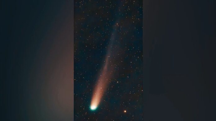 Cometa Lemmon: chioma e coda ne svelano la vera identità