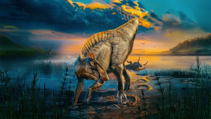 Edmontosaurus annectens: la 