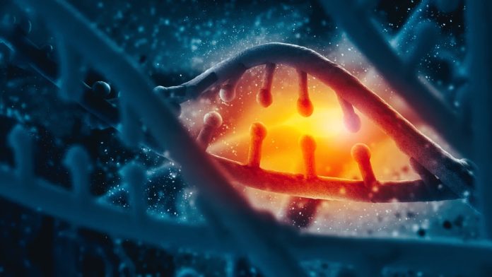 Telomeri: l'RPA stimola la telomerasi, prevenendo malattie