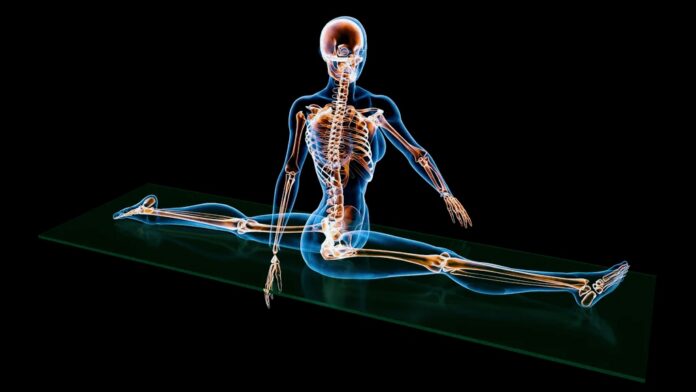 Apparato scheletrico: quando le ossa sono più delle previste
