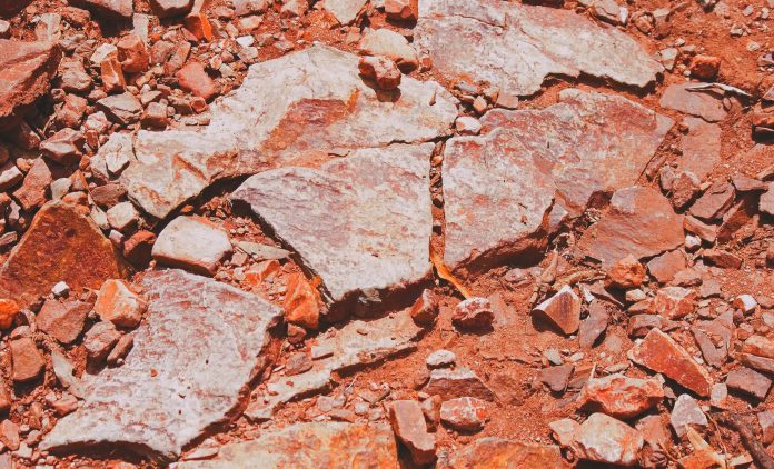 Dalla pietra al dettaglio organico: la nuova era dei fossili ultra-definiti