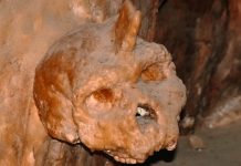 Cranio di Petralona: l’anello mancante dell’evoluzione europea