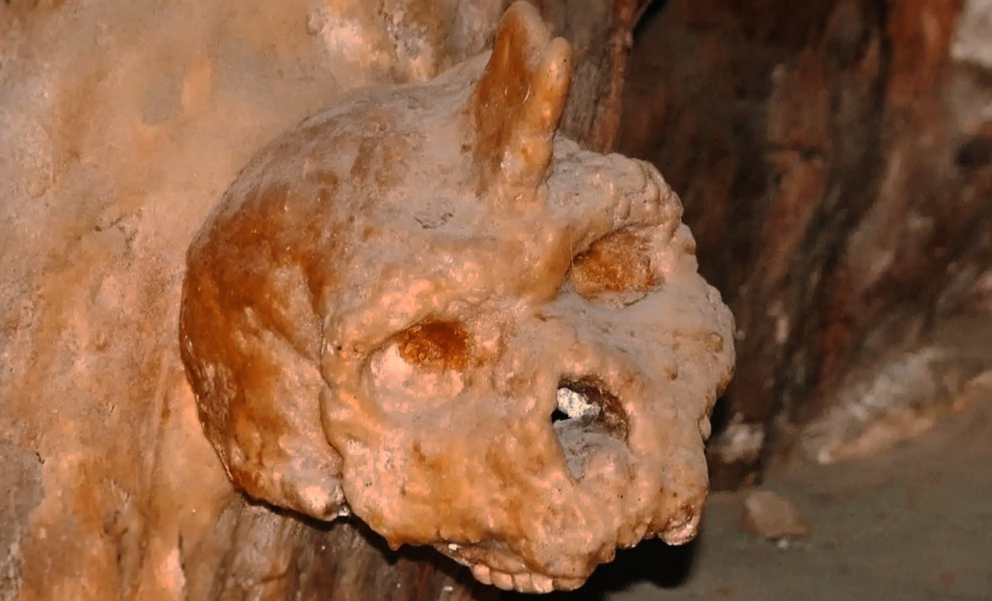 Cranio di Petralona: l'anello mancante dell'evoluzione europea