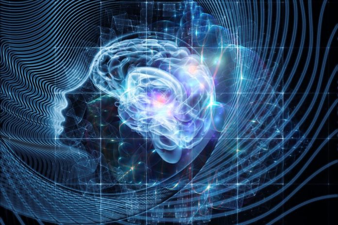 Coscienza oltre l'uomo: i diritti di animali e sistemi IA