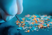 Guanti in nitrile: così hanno falsato i dati sulle microplastiche Guanti in nitrile: così hanno falsato i dati sulle micro plastiche