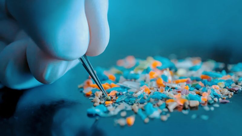 Guanti in nitrile: così hanno falsato i dati sulle micro plastiche