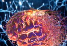 Coscienza: la mente emerge da una geometria invisibile Coscienza: la mente emerge da una geometria invisibile