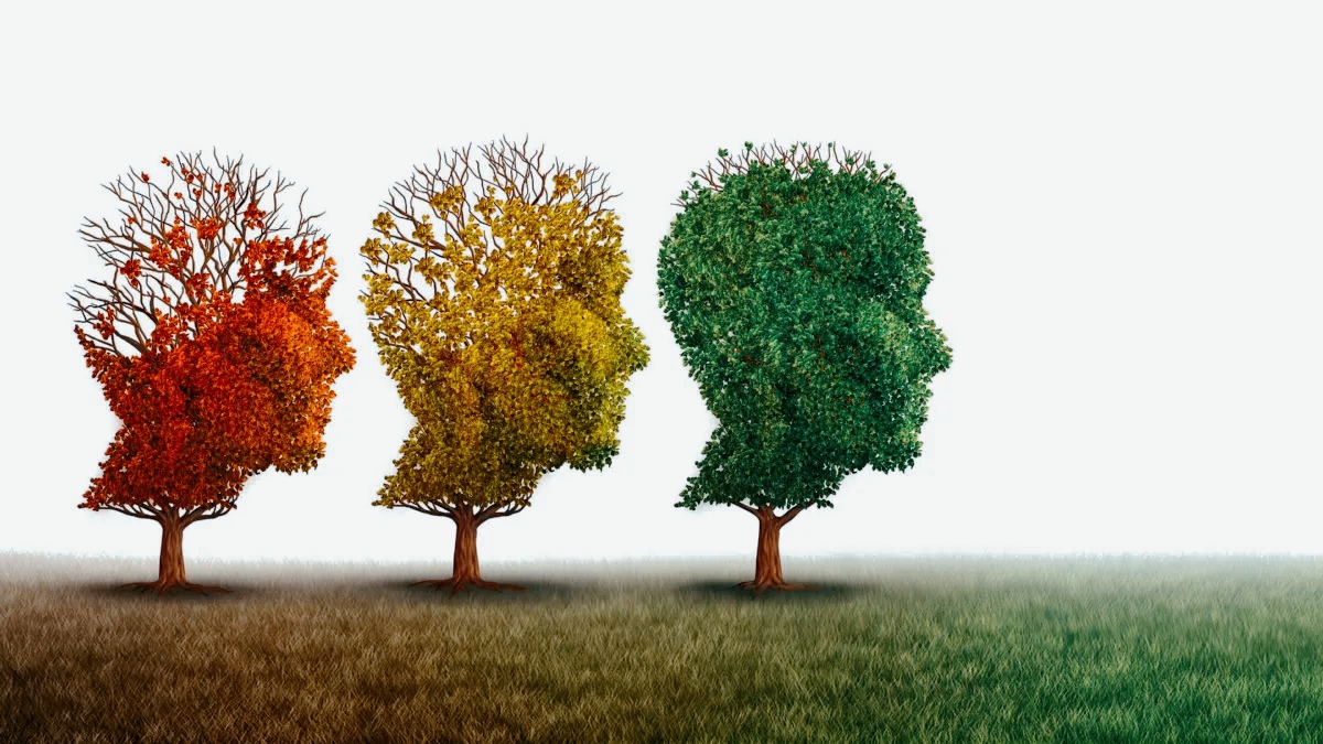Morbo di Alzheimer: scoperto un nuovo approccio per eliminare le proteine tossiche
