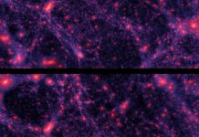 L’intelligenza artificiale e la ricerca di nuova fisica: efficienza e rischi del transfer learning L'intelligenza artificiale e la ricerca di nuova fisica: efficienza e rischi del transfer learning