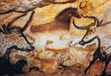 DNA antico: le pareti rocciose diventano archivi genetici DNA antico: le pareti rocciose diventano archivi genetici