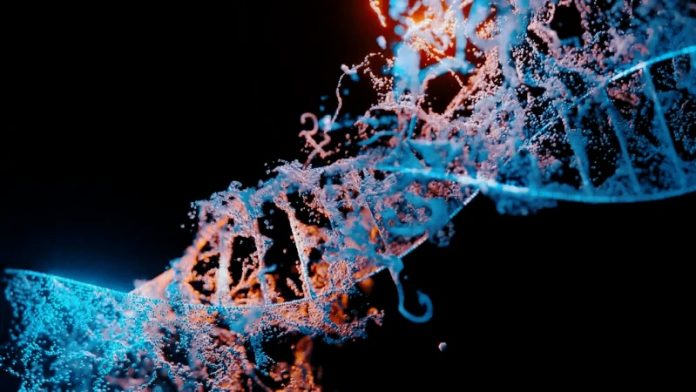 RNA ribosomiale: un regolatore chiave del destino cellulare