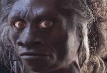 Homo floresiensis: una revisione delle abilità predatorie degli antichi ominini Homo floresiensis: una revisione delle abilità predatorie degli antichi ominini